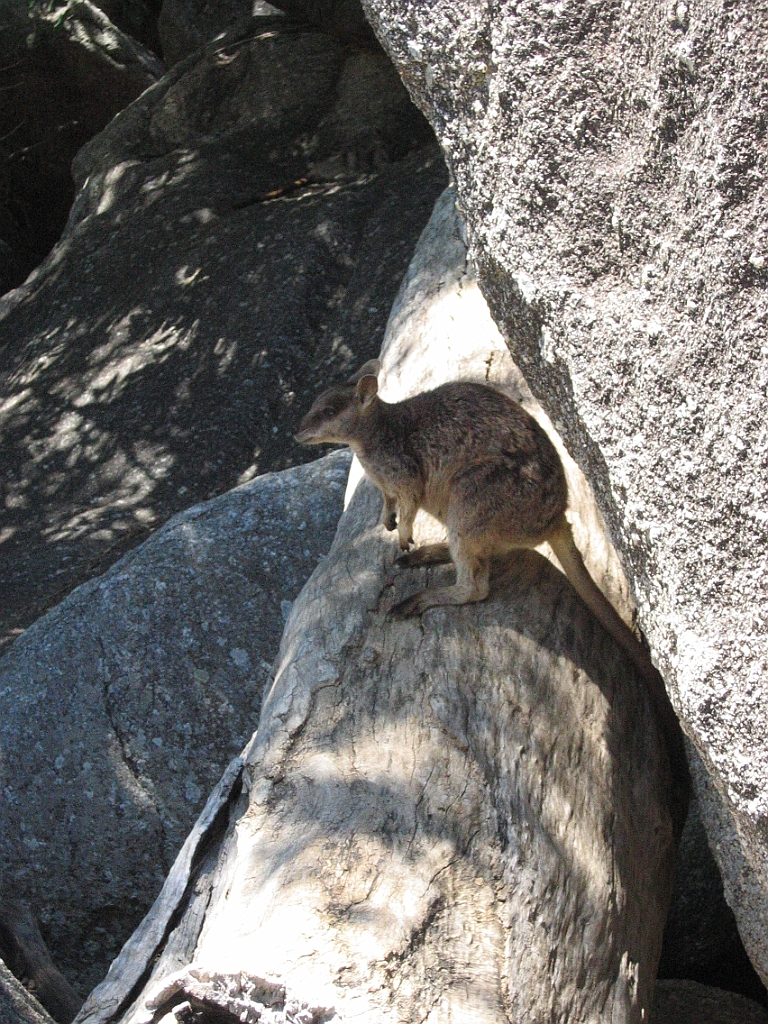 096 Granite gorge.jpg